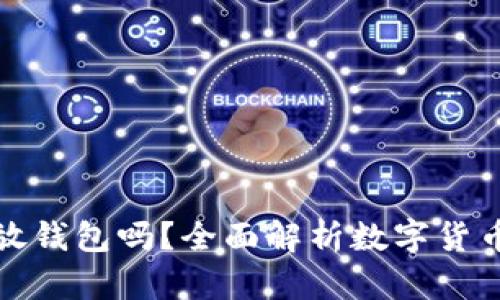 : 屎币能放钱包吗？全面解析数字货币存储方式