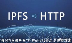 如何将BIG币提取到TP Wallet？详尽步骤与注意事项