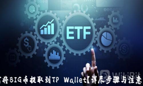 
如何将BIG币提取到TP Wallet？详尽步骤与注意事项
