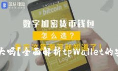 : tpWallet风险大吗？全面解析tpWallet的安全性与风