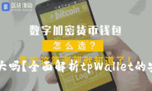 : tpWallet风险大吗？全面解析tpWallet的安全性与风险因素