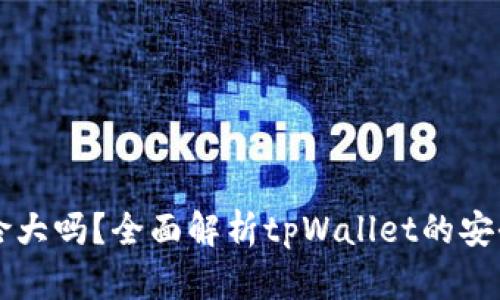 : tpWallet风险大吗？全面解析tpWallet的安全性与风险因素