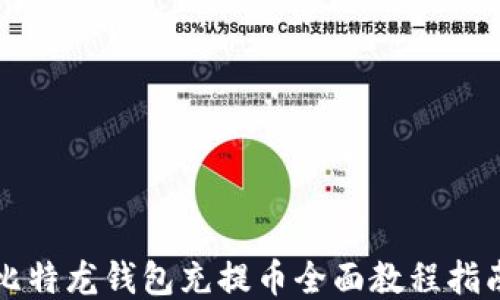 
比特龙钱包充提币全面教程指南