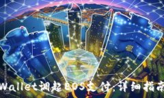   如何使用tpWallet调起EOS支付：详细指南与应用场