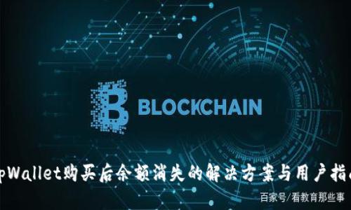 tpWallet购买后余额消失的解决方案与用户指南