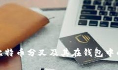 深入了解比特币分叉及其