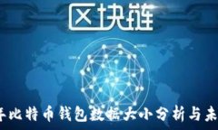  2023年比特币钱包数据大小