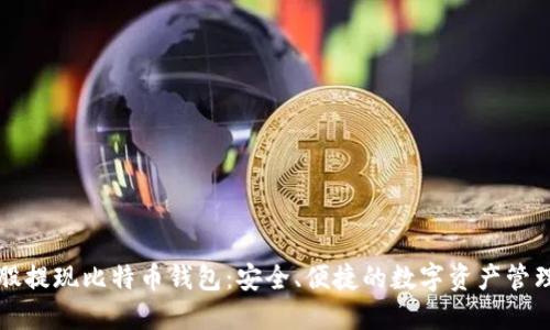比特股提现比特币钱包：安全、便捷的数字资产管理方案