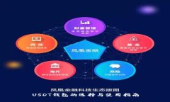 USDT钱包的选择与使用指南